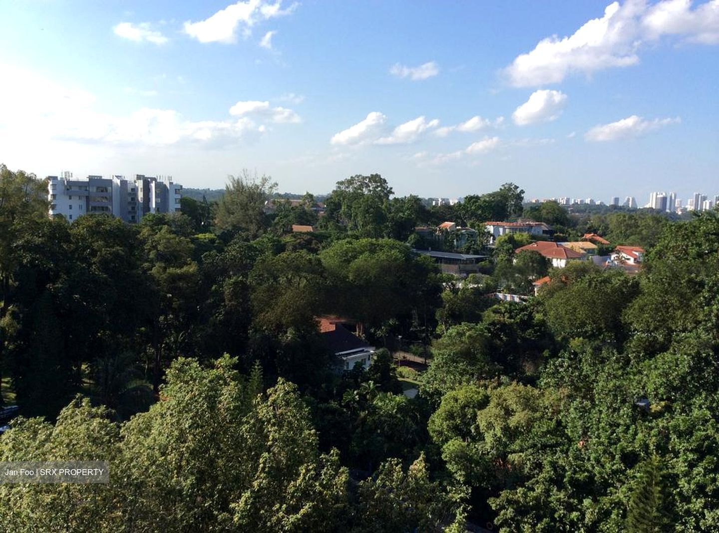 Nassim Mansion (D10), Apartment #458938831